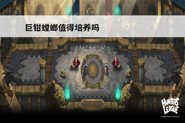 巨钳螳螂值得培养吗 巨钳螳螂怎么培养?