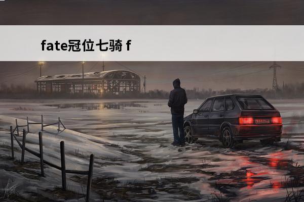 fate冠位七骑 f