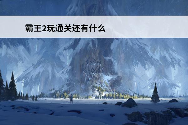 霸王2玩通关还有什么