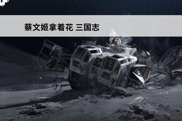 蔡文姬拿着花 三国志