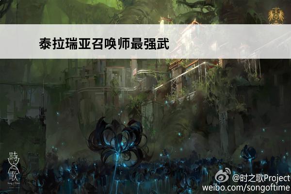 泰拉瑞亚召唤师最强武