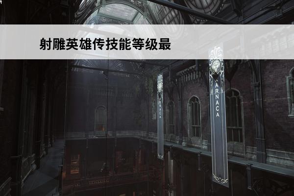 射雕英雄传技能等级最