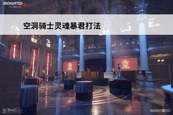 空洞骑士灵魂暴君打法