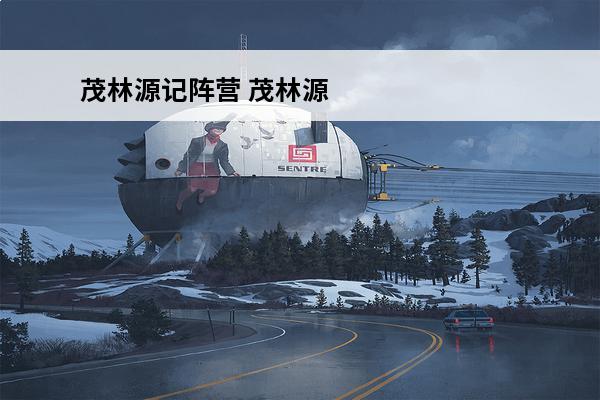 茂林源记阵营 茂林源记怎么本地联机