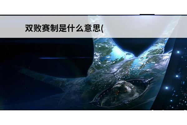 双败赛制是什么意思(
