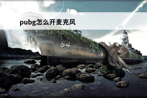 pubg怎么开麦克风(PUBG怎么开麦克风)