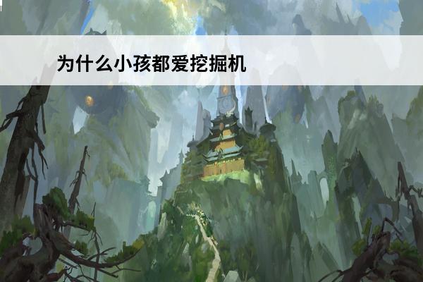 为什么小孩都爱挖掘机