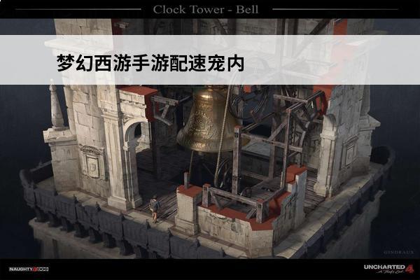 梦幻西游手游配速宠内丹搭配推荐卡速宝宝内丹选择(梦幻手游配速宝宝打什么内丹)