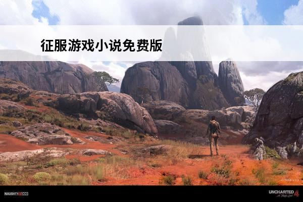 征服游戏小说免费版 
