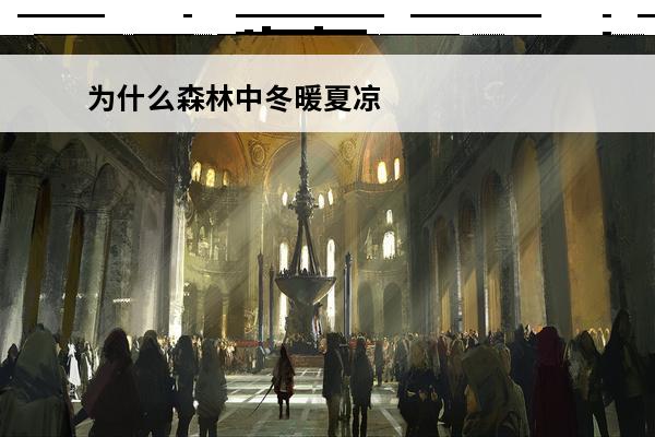为什么森林中冬暖夏凉(森林中的失踪任务)