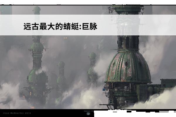 远古最大的蜻蜓:巨脉蜻蜓 翼展0.75米主食两栖动物(远古巨蜻蜓)