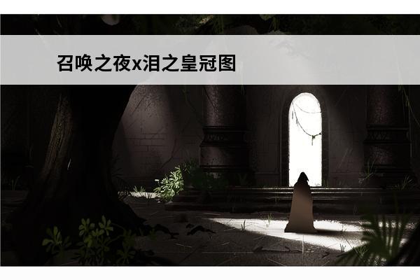 召唤之夜x泪之皇冠图