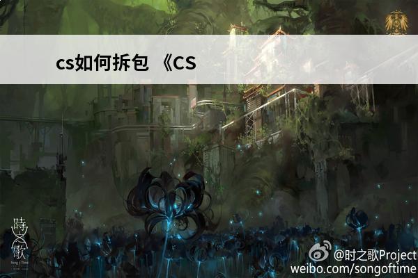 cs如何拆包 《CS