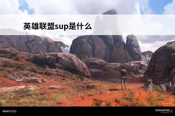 英雄联盟sup是什么