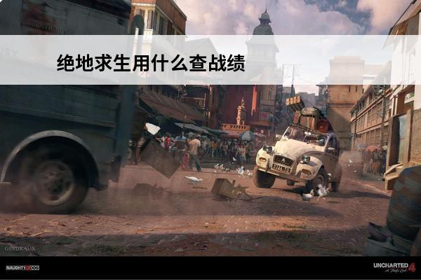 绝地求生用什么查战绩 绝地求生全军出击战绩怎么查 战绩查询方法详解