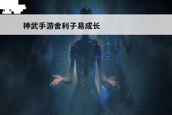神武手游舍利子易成长怎么算(神武手游宝图限制怎么算)