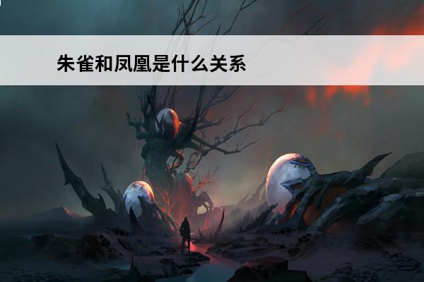朱雀和凤凰是什么关系(朱雀和凤凰是什么关系)