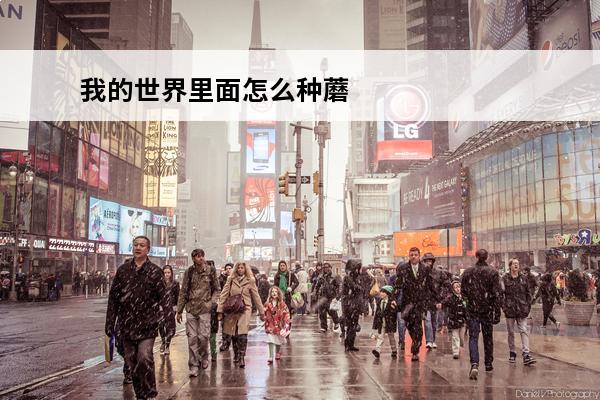 我的世界里面怎么种蘑菇 我的世界怎么种蘑菇介绍_我的世界怎么种蘑菇是什么