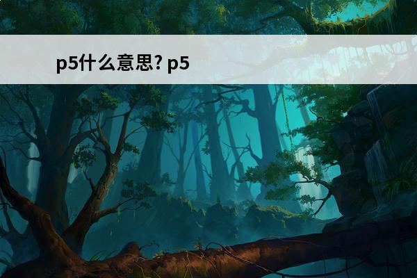 p5什么意思? p5什么意思
