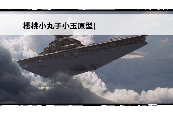 樱桃小丸子小玉原型(樱桃小丸子小玉真实照片)