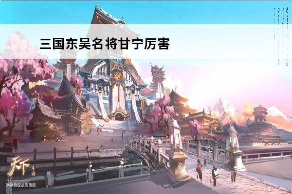 三国东吴名将甘宁厉害吗(三国甘宁厉害吗)