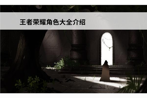 王者荣耀角色大全介绍(王者荣耀角色大全介绍女)